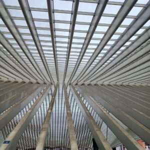 photo prise à la gare des guillemins à Liège montrant la structure de la verrière
