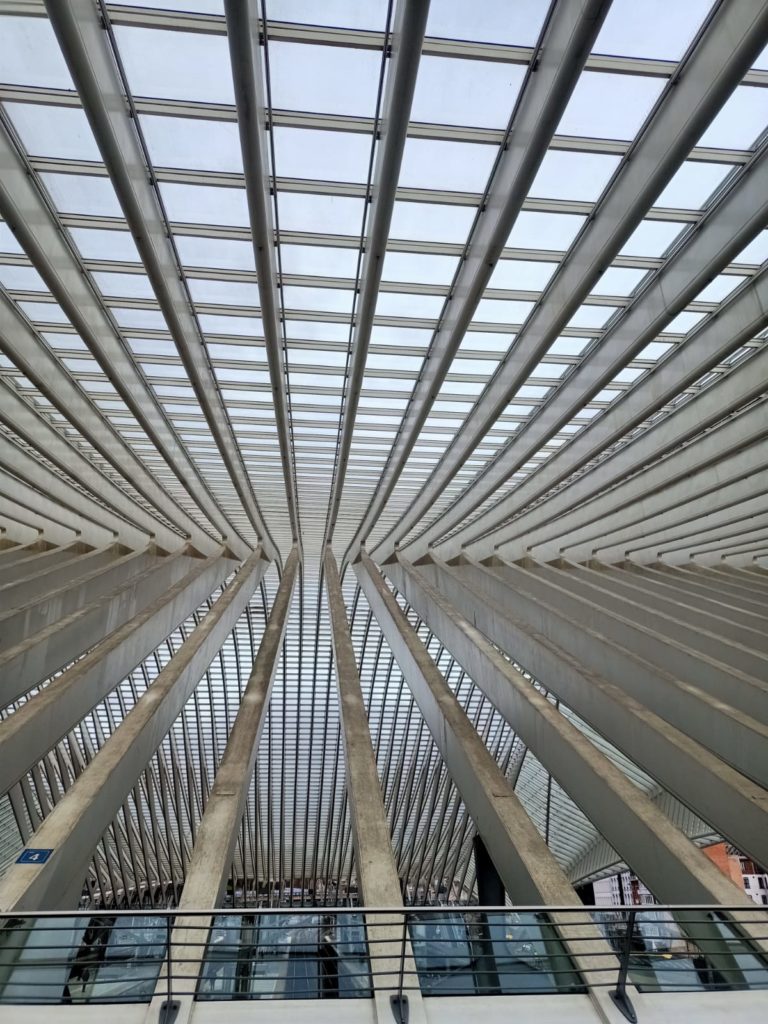 photo prise à la gare des guillemins à Liège montrant la structure de la verrière